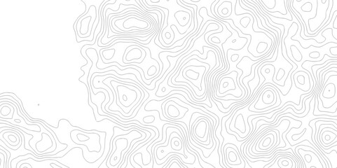 Pattern with lines and dots The stylized height of the topographic map contour in lines and contours isolated on transparent. Black and white topography contour lines map isolated on white background.