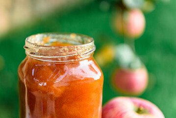 Glass jar of apple jam and fresh fruits on garden background.