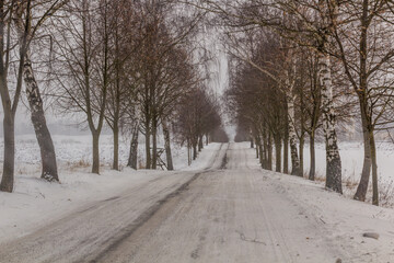 Winter view of a road near Letohrad, Czech Republic