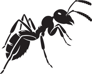 ant isolated on white background