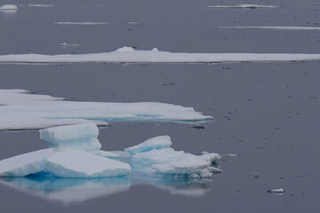 Arctic pack ice near the Svalbard archipelago © Stefano