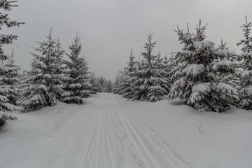 Cross country ski trail at Bukova hora mountain, Czech Republic