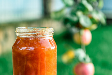 Glass jar of apple jam and fresh fruits on garden background.