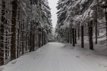 Cross country ski trail at Suchy vrch mountain, Czech Republic