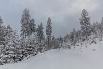 Cross country ski trail at Suchy vrch mountain, Czech Republic