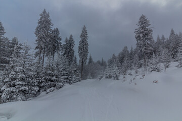 Cross country ski trail at Suchy vrch mountain, Czech Republic
