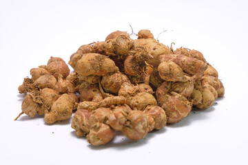 Kaempferia galanga, commonly known as kencur, aromatic ginger, sand ginger, cutcherry, is a monocotyledonous plant in the ginger family, and one of four plants called galangal