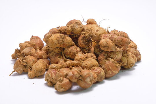 Kaempferia galanga, commonly known as kencur, aromatic ginger, sand ginger, cutcherry, is a monocotyledonous plant in the ginger family, and one of four plants called galangal