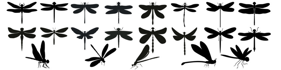 Dragonfly icon vector set. Insect illustration sign collection. Butterfly symbol or logo.