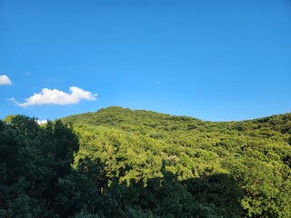 Obraz premium 산과 구름과 하늘 바다 일출 아침바다 여름 