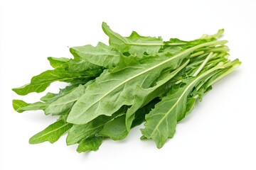 A bunch of fresh green arugula leaves on a white background.