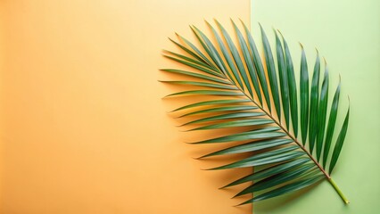 Obraz premium Summer concept with copy space featuring a green tropical palm leaf on a pastel background in a creative flat layer