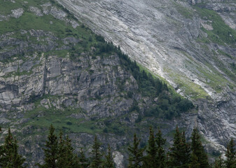 Vanoise valley. Alps. France.
