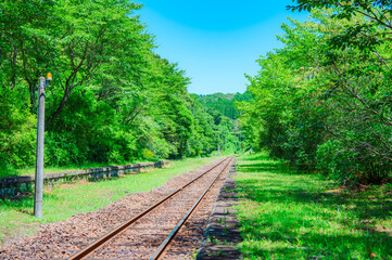 故郷へと続く線路