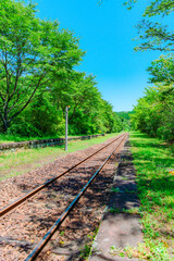 Fototapeta premium 故郷へと続く線路