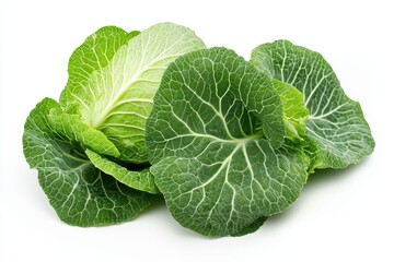 Obraz premium A cluster of fresh green cabbage leaves arranged neatly.