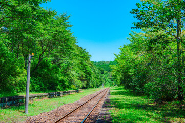 故郷へと続く線路