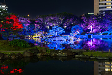 カラフルに光輝く夜の日本庭園