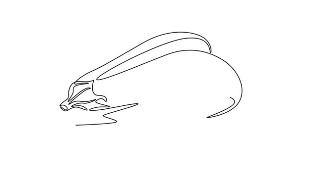 Animated self drawing of continuous line draw of whole and sliced healthy organic eggplant for market logo identity. Fresh tropical perennial plant for vegetable icon. Full length one line animation