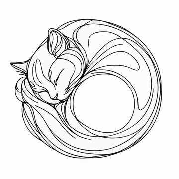 recommend clip art: Sketch of a sleeping curled-up cat in black and white line art