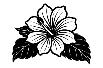 hibiscus flower engraving black and white outline