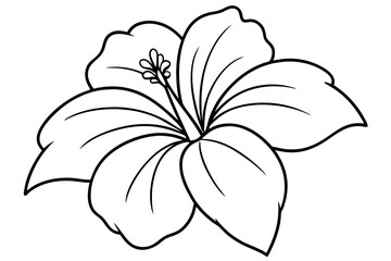 hibiscus flower engraving black and white outline