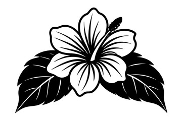 hibiscus flower engraving black and white outline