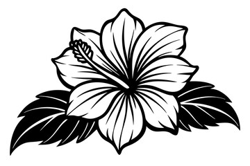 Hibiscus, flower and leaves. Vector. Coloring book page for adult. Hand drawn artwork. Black and white