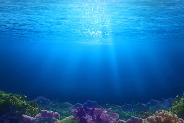 Underwater sea landscape with sunlight, Nature background.