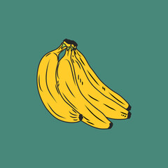 banana fruit vector draw