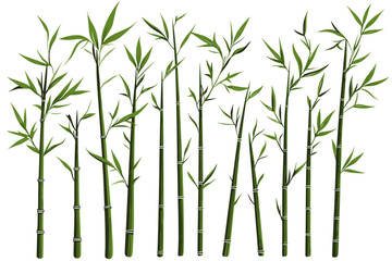 Bamboo forest stems. Jungle bamboo stems silhouettes, bamboo branches with leaves, decorative bamboo flat vector illustration set