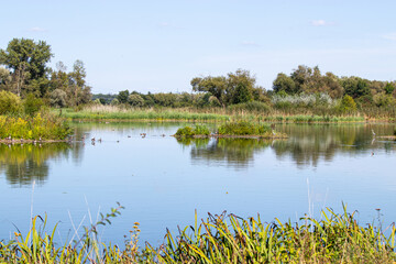 See Vogelschutzgebiett Garstadt