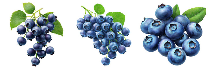 Obraz premium Vibrant and fresh blueberries with green leaves showcasing a healthy fruit option isolated on transparent background