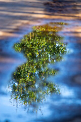 Spiegelung in Wasser