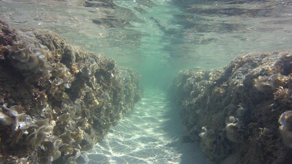 Mare della Puglia © Michela