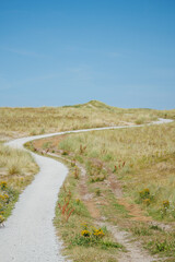 Bikepath in the dunes