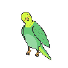 Pixel-art Illustration of Smiling Parakeet