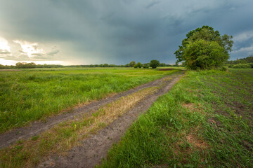 Dark storm clouds over a meadow with dirt road