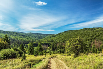 Obraz premium Landscapes - Forest - Europe, Romania, Suceava region