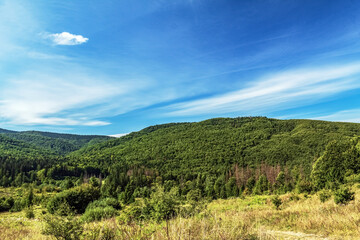 Fototapeta premium Landscapes - Forest - Europe, Romania, Suceava region