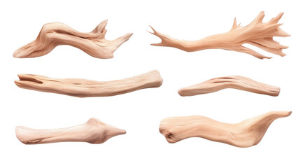 A collection of woody branches with varying shapes and sizes