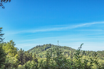 Landscapes -  Forest - Europe, Romania, Suceava region