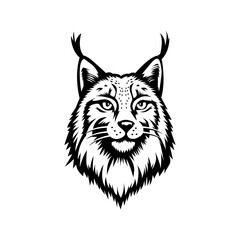 lynx vector
