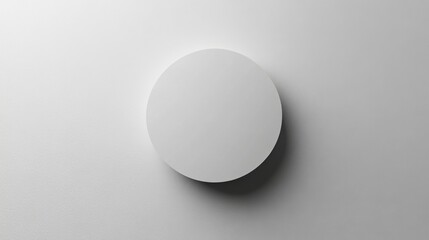 Minimalist Wall-Mounted White Oval Light