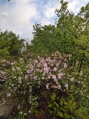 등산풍경
