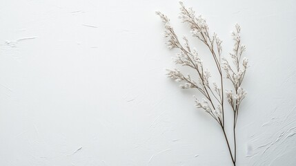 Minimalist Nature