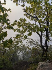 등산풍경