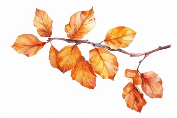 Autumn leaves branch illustration