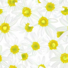 Fototapeta premium Bright and cheerful pattern of white daisies with vibrant yellow centers.