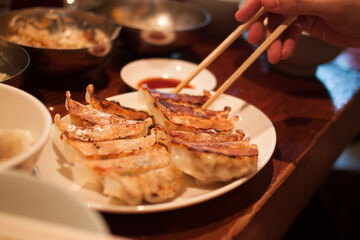 Crispy Pan-Fried Japanese Gyoza Dumplings